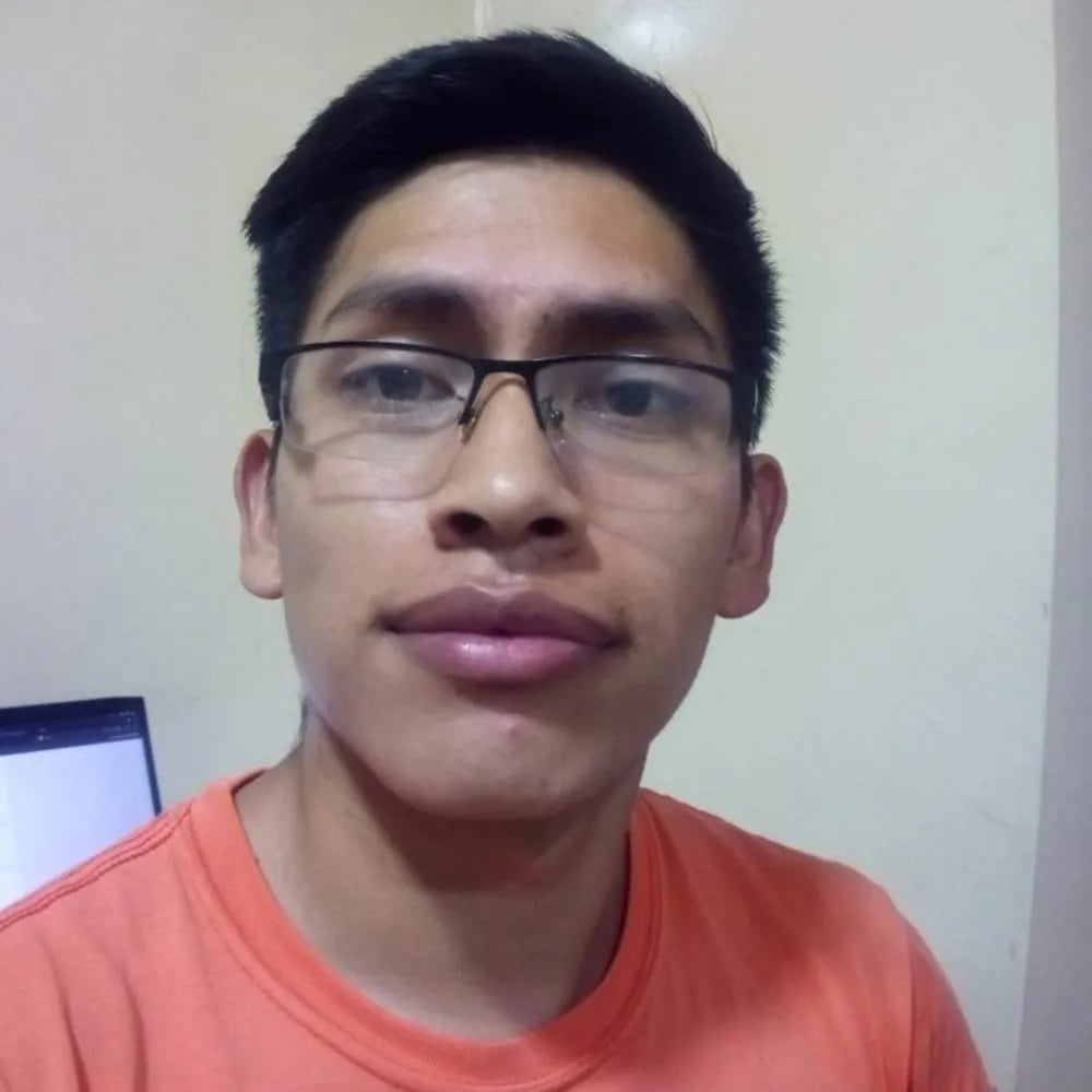 Martin Andres Acebey Laime